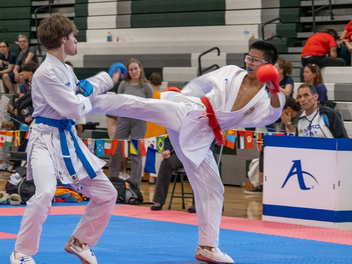 Kumite · advanced division, Kobushi Cup 2024
